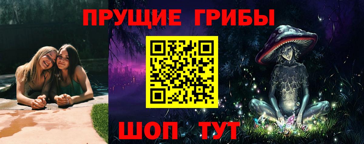 Галлюциногенные грибы Psilocybine cubensis Чехов